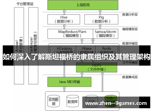 如何深入了解斯坦福桥的隶属组织及其管理架构